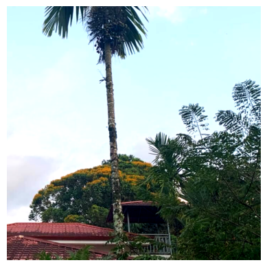 Villa Sulterra hero image