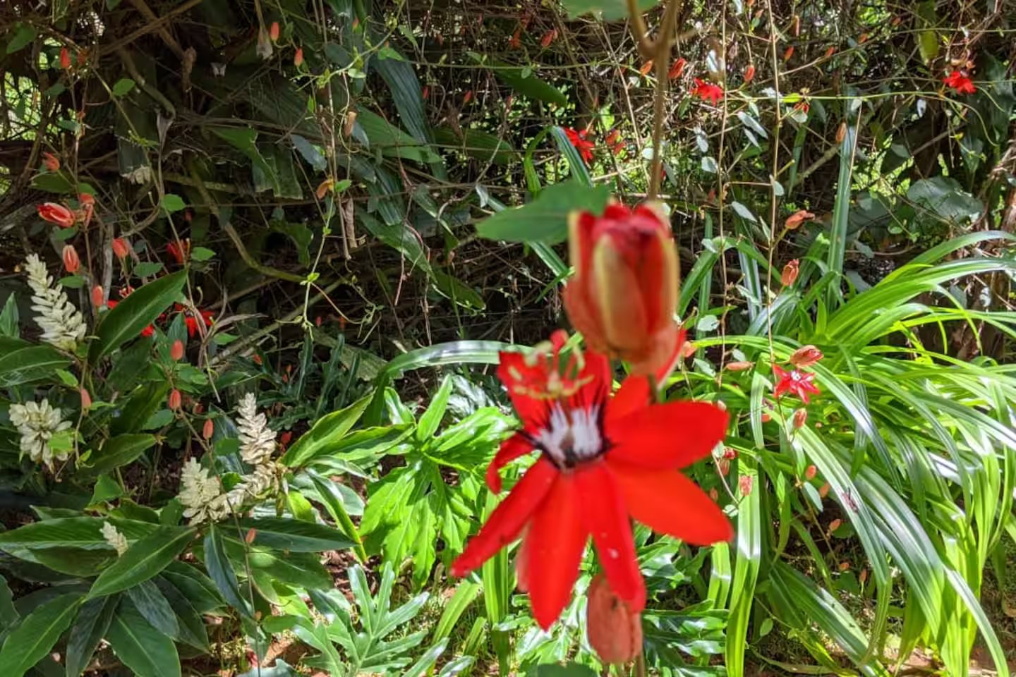 Villa Sulterra hero image