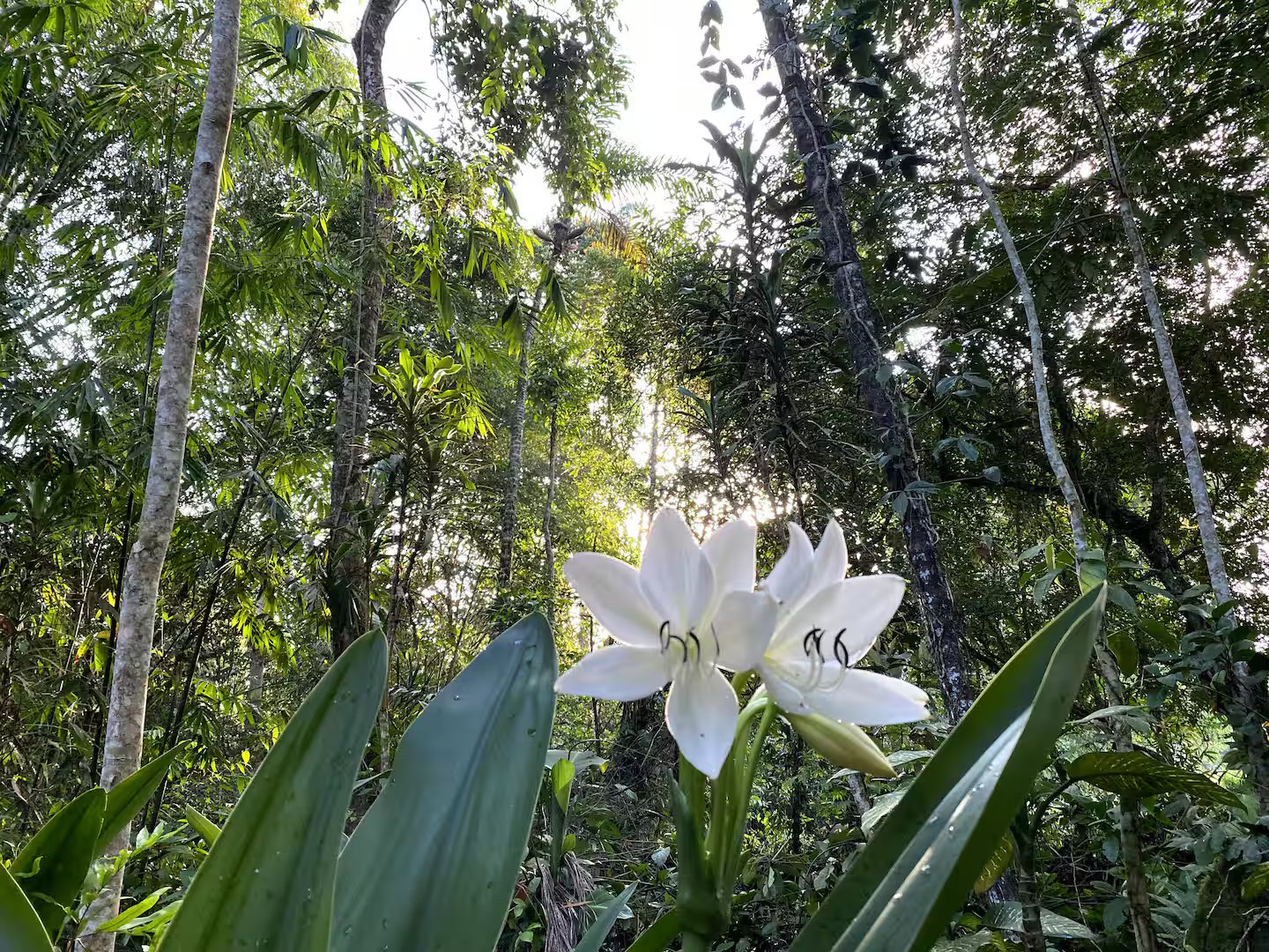 Villa Sulterra hero image