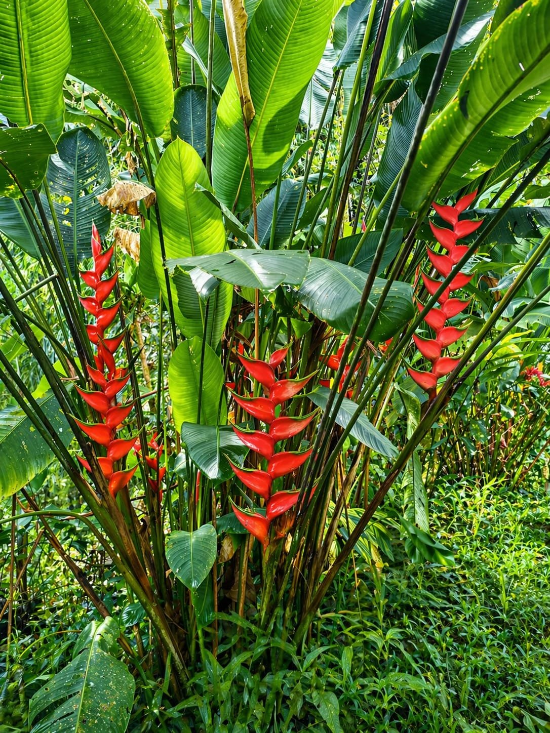 Villa Sulterra hero image