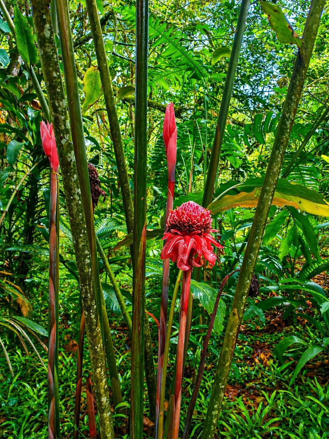 Villa Sulterra hero image