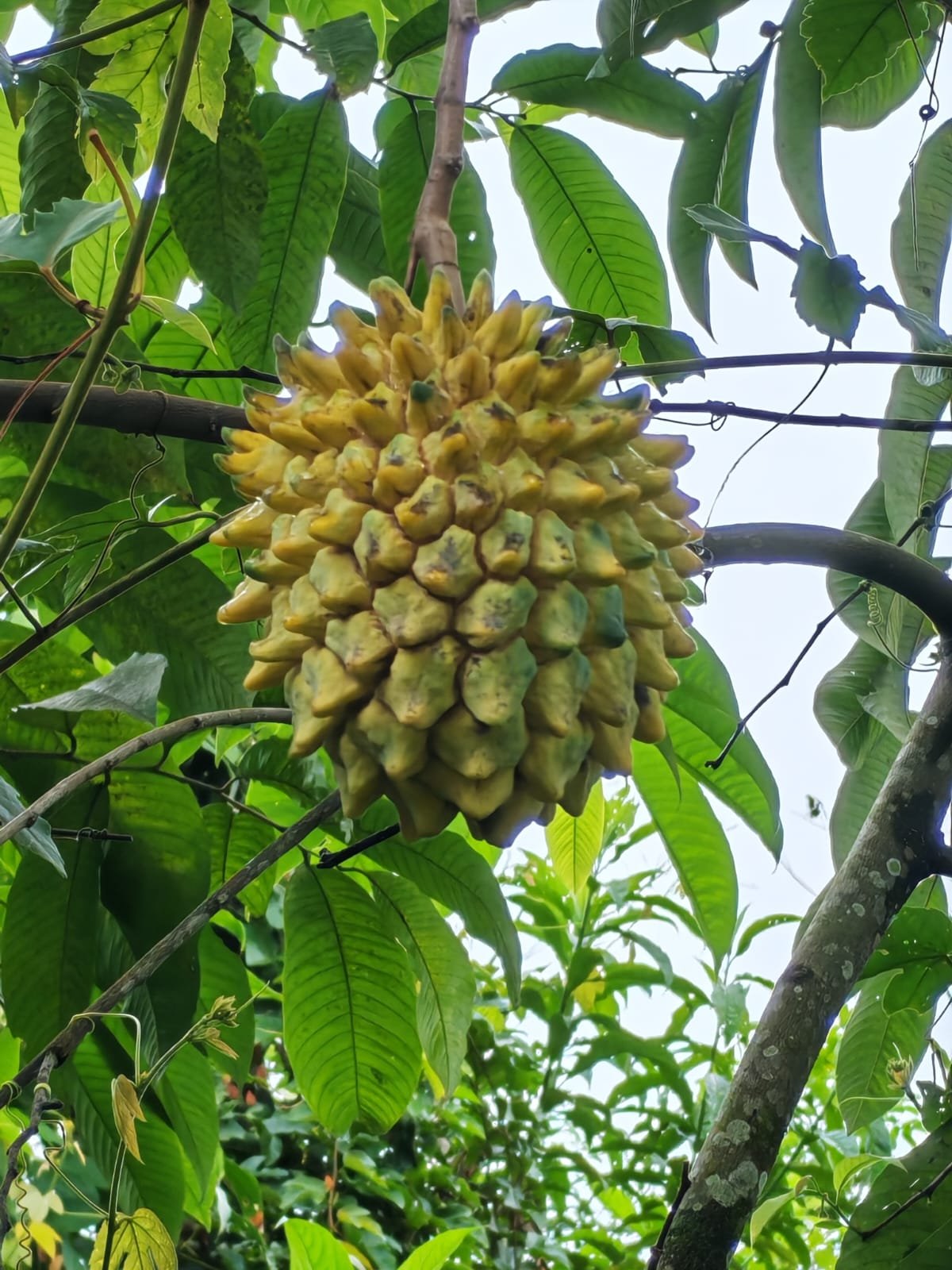 Villa Sulterra hero image