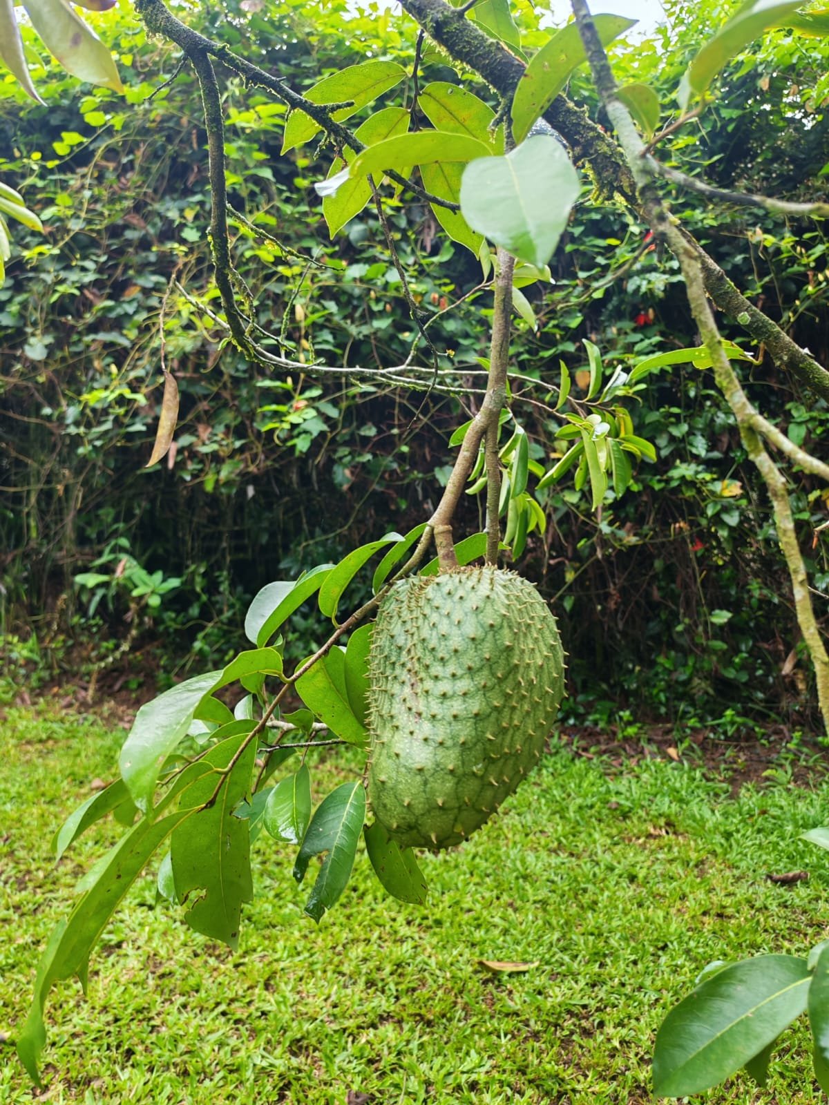 Villa Sulterra hero image