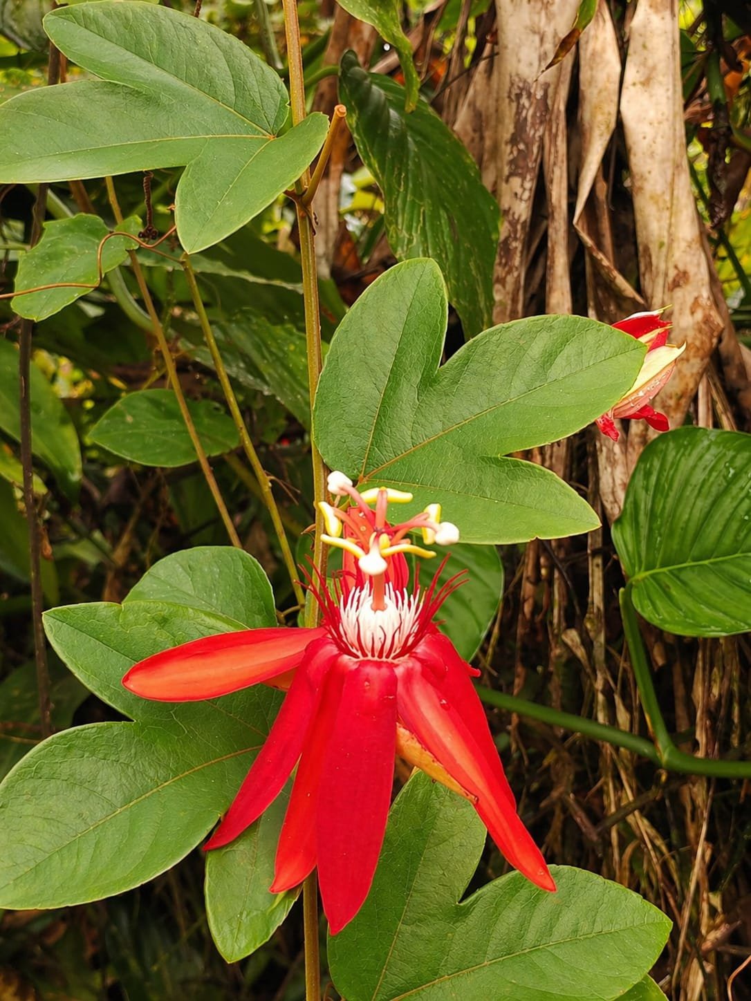 Villa Sulterra hero image