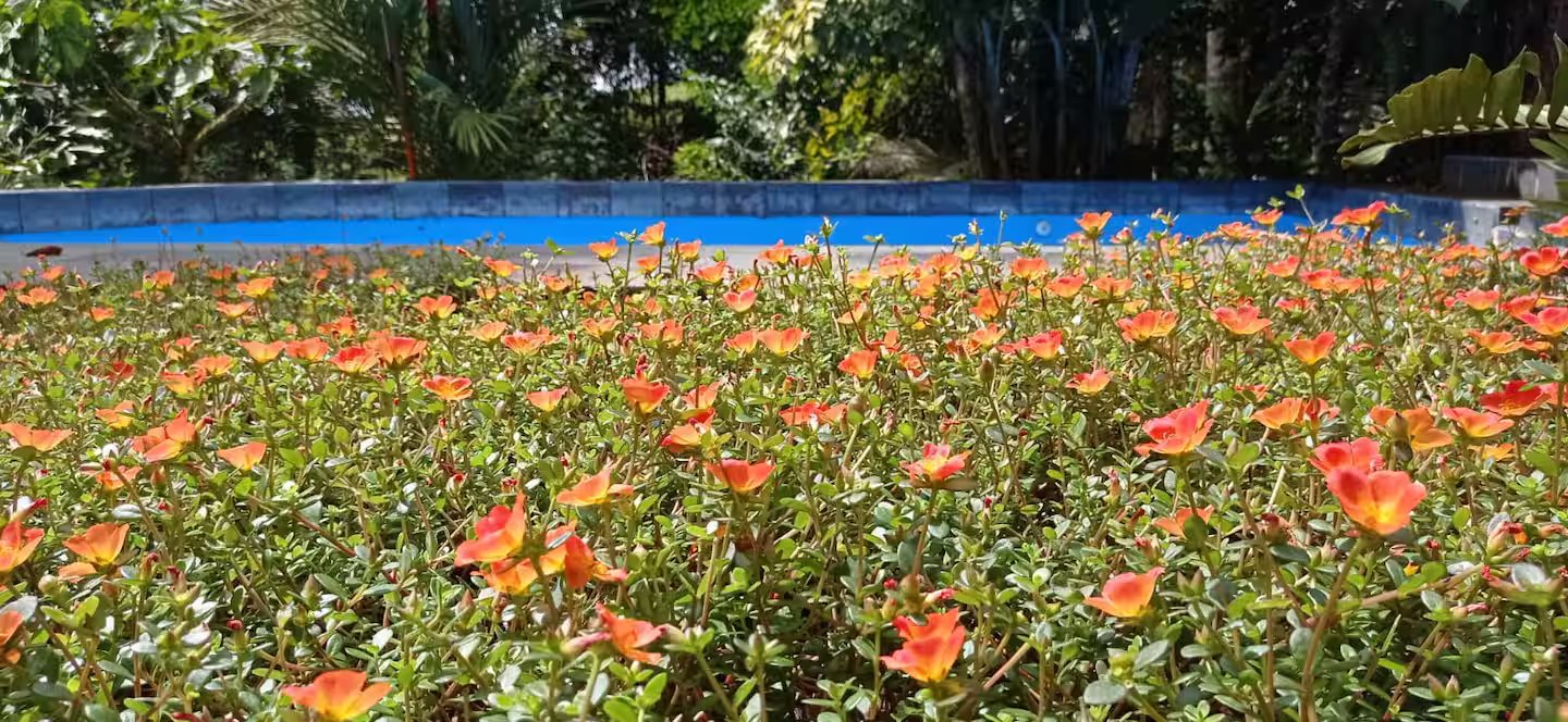 Villa Sulterra hero image