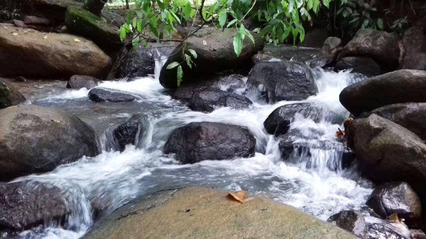 Natural creek running through the grounds of Villa Sulterra surrounded by tropical forest in Pérez Zeledón, Costa Rica