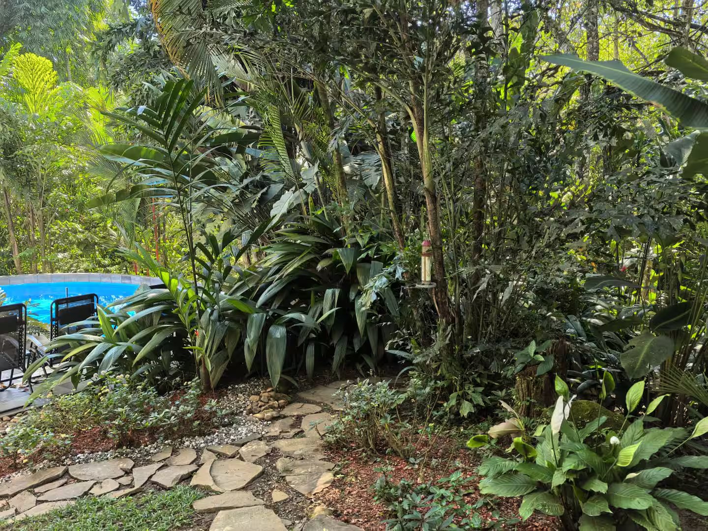 Nature trail leading to the creek at Villa Sulterra surrounded by tropical trees and flowers in Pérez Zeledón, Costa Rica